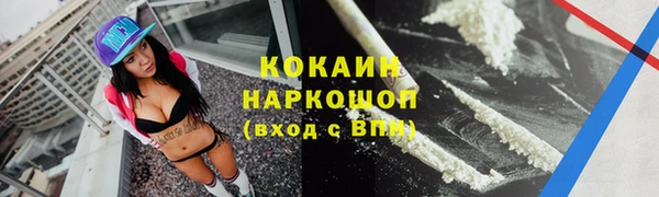 стафф Богородицк