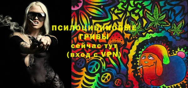 спайс Бородино
