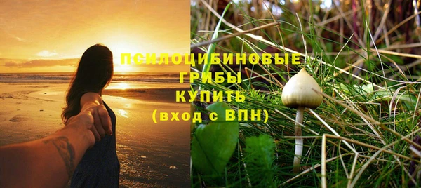 ALPHA PVP Богданович