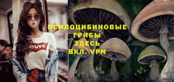 стафф Богородицк